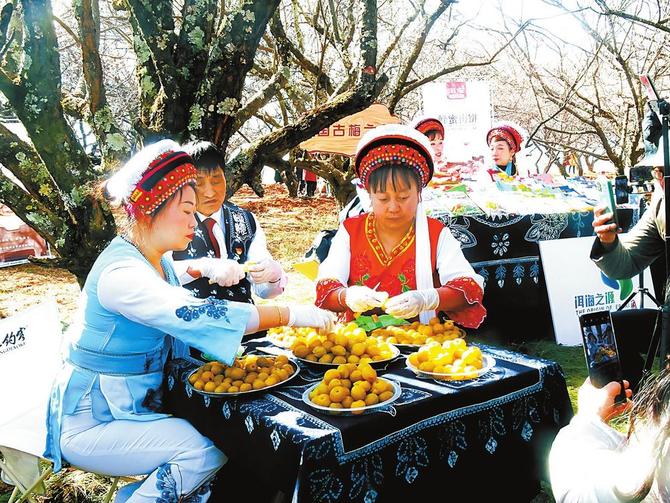 洱源举办梅花文化节